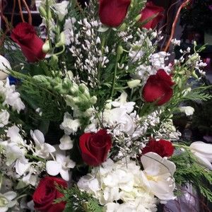 Meet your Posher, Aisha